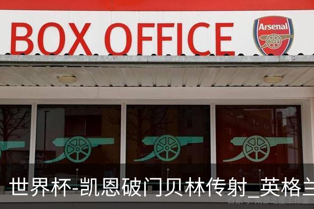 世界杯-凯恩破门贝林传射 英格兰2-0巴拿马小组第一