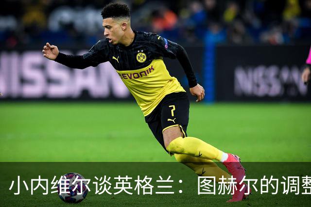 小内维尔谈英格兰：图赫尔的调整很出色 任何言语都形容不了凯恩