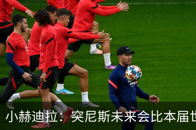 小赫迪拉：突尼斯未来会比本届世界杯更好 批评？我已经付出全力