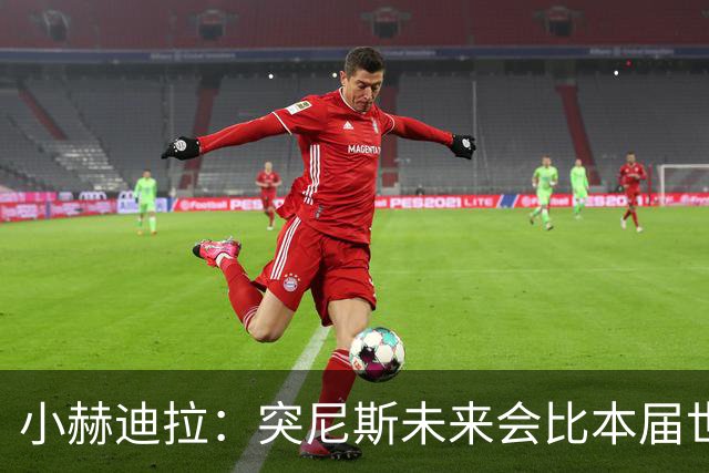 小赫迪拉：突尼斯未来会比本届世界杯更好 批评？我已经付出全力