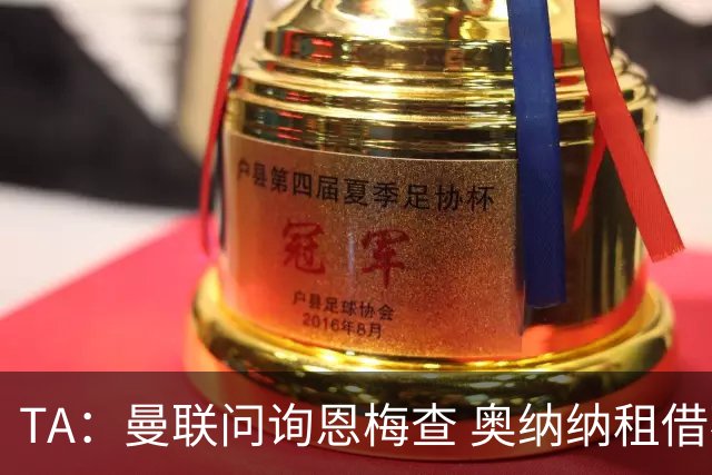 TA：曼联问询恩梅查 奥纳纳租借不含买断条款对方承担部分薪水